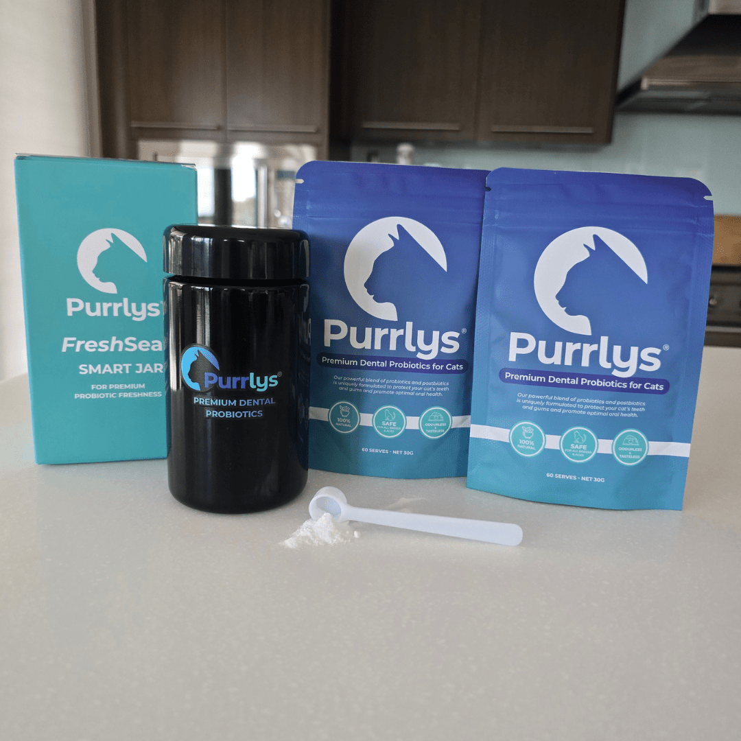 Starter Pack - Purrlys®