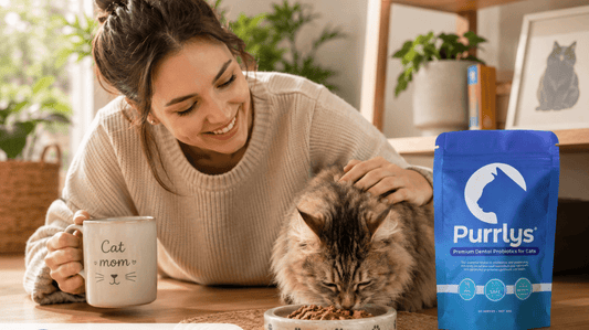 Best Cat Dental Care Products in Australia (2026 Guide) - Purrlys®