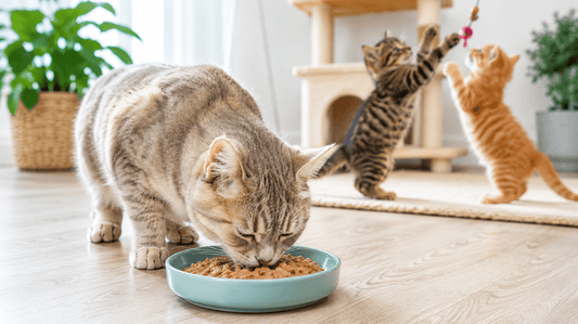 The Easy Way to Keep Your Cat's Teeth Clean: A Stress-Free Guide for 2026 - Purrlys®