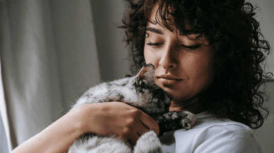 Cat Dental Health: A Calm Guide for Australian Owners - Purrlys®