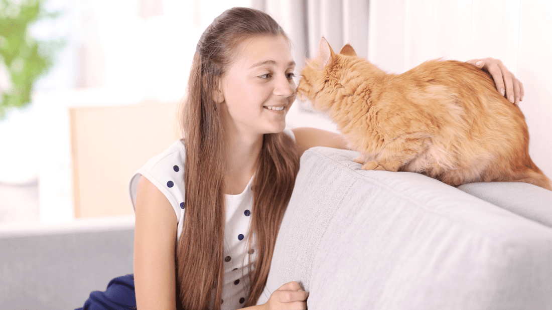 Natural Cat Bad Breath Remedy: The Purr-fect Guide to Fresh Feline Kisses - Purrlys®