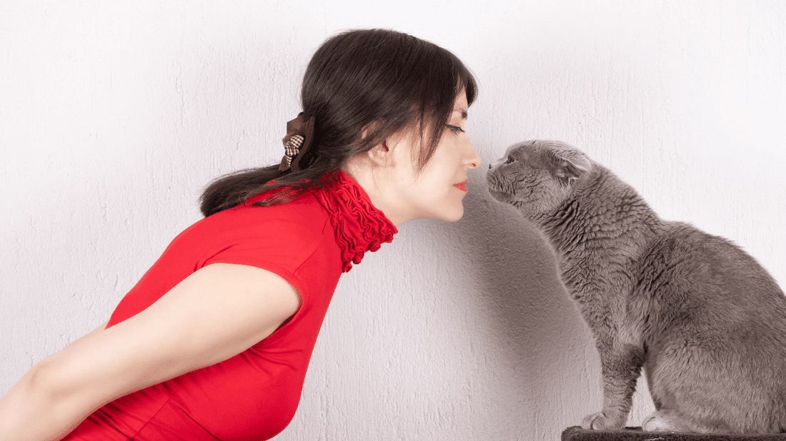 Cat Bad Breath: A Positively Simple Guide to Fresher Kisses in 2026 - Purrlys®