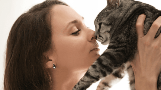Stinky Kitty Kisses? 5 Surprising Reasons for Cat Bad Breath and How to Fix Them - Purrlys®