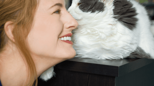 Cat Bad Breath Treatment Powder: The 2026 Guide to Fresh Whisker Kisses - Purrlys®