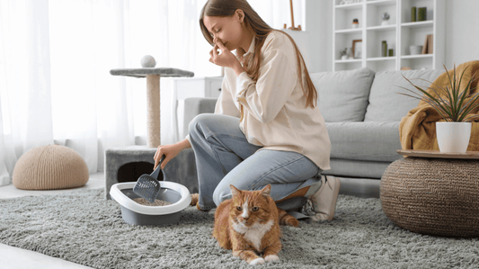 What Happens If You Never Brush Your Cat's Teeth? The Surprising Reality of Feline Dental Health - Purrlys®