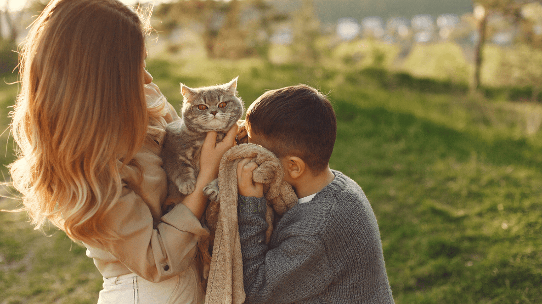 Cat Gingivitis Treatment at Home: A Purr-fectly Simple Guide for 2026 - Purrlys®