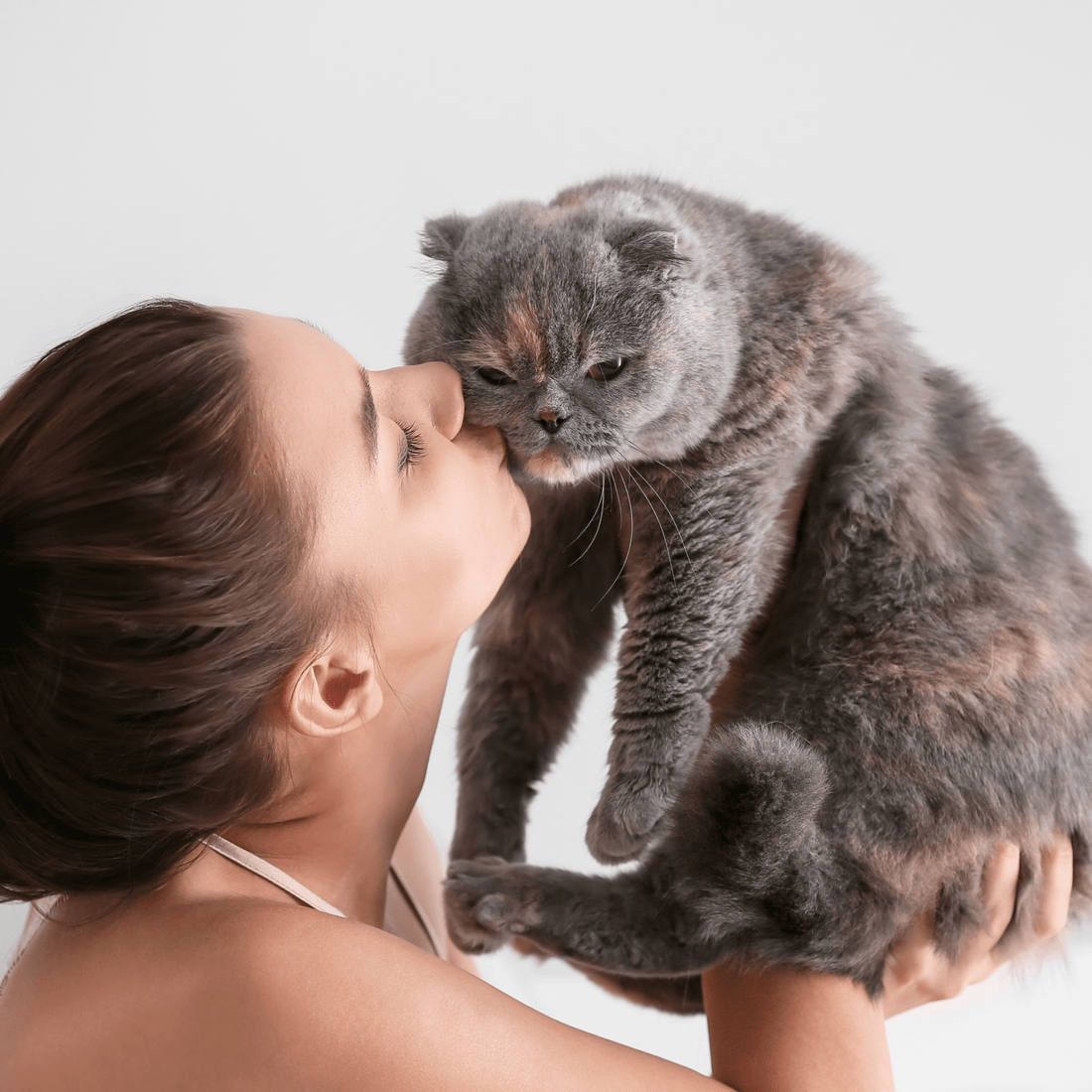 Bad Breath in Cats: Why It Happens and How to Help - Purrlys®