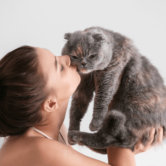 Bad Breath in Cats: Why It Happens and How to Help - Purrlys®