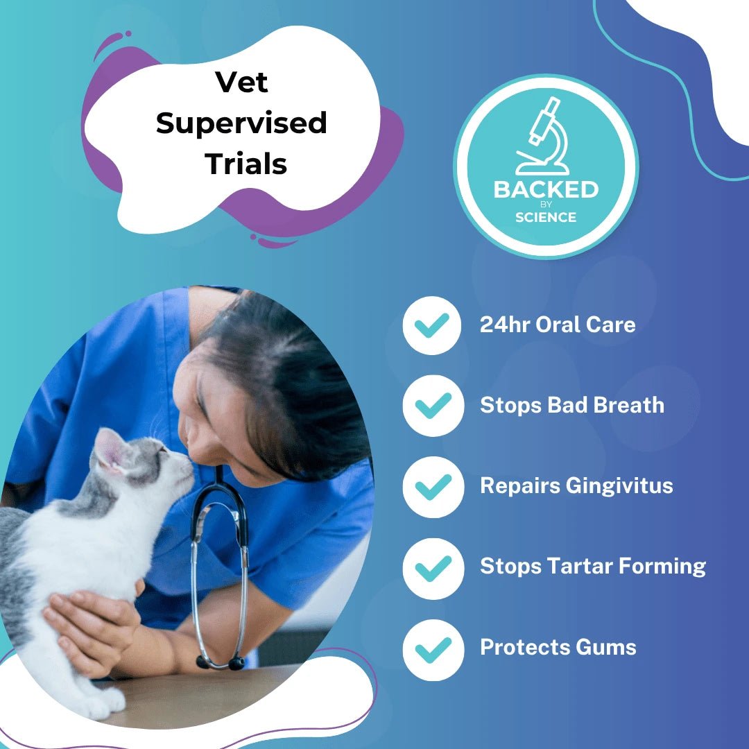 Premium Dental Probiotics for Cats - Purrlys®