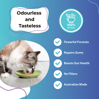 Premium Dental Probiotics for Cats - Purrlys®