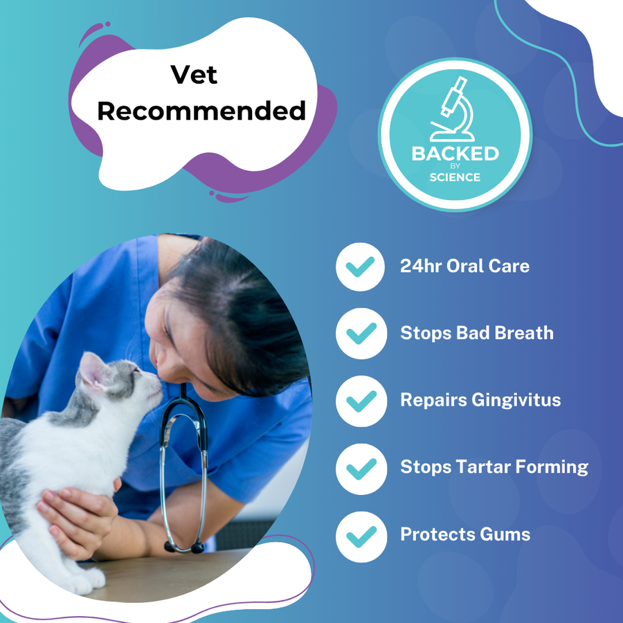 Promotional graphic for pet oral care with a photo of a veterinarian examining a cat, alongside text reading 'Vet Recommended' and a circular 'Backed by Science' logo. List items include 24hr oral care, stops bad breath, repairs gingivitis, stops tartar forming, and protects gums.