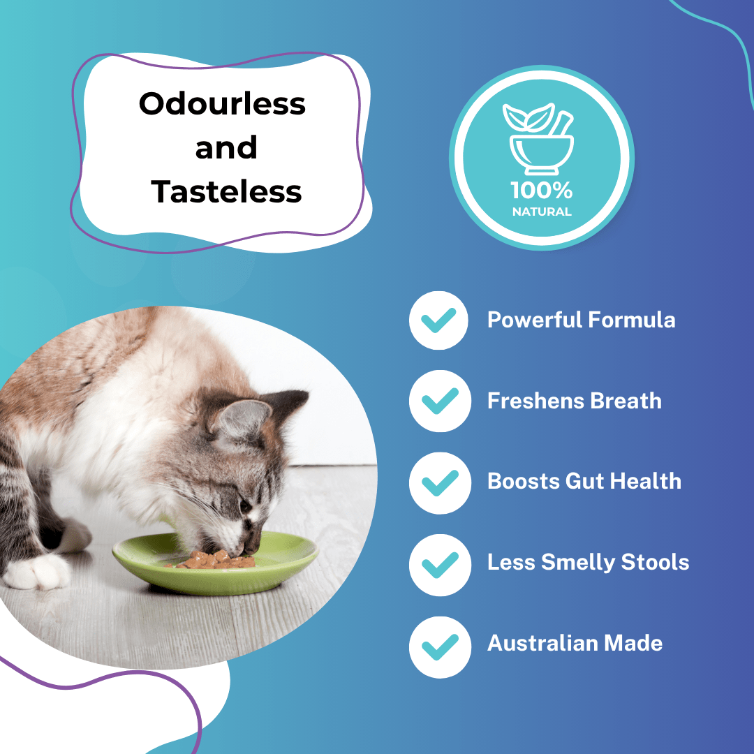 Preorder - Premium Dental Probiotics for Cats - Purrlys®