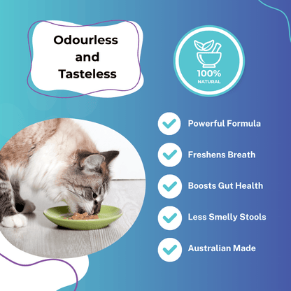 Preorder - Premium Dental Probiotics for Cats - Purrlys®