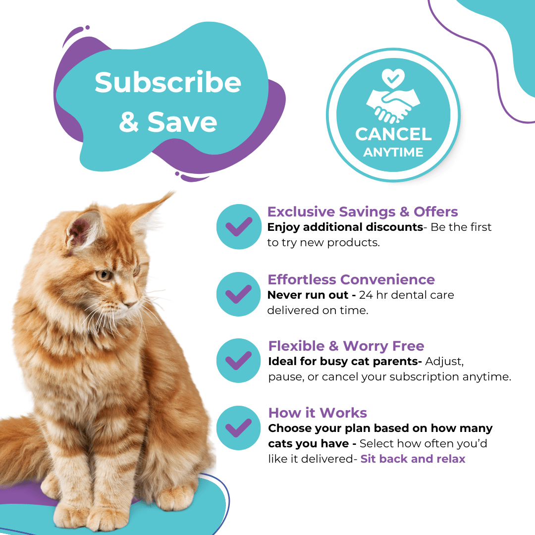 Preorder - Premium Dental Probiotics for Cats - Purrlys®