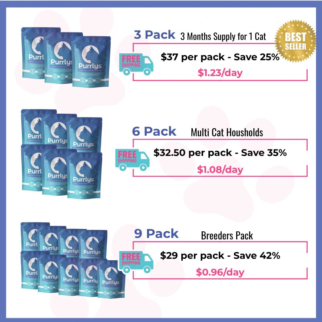 Premium Dental Probiotics for Cats - Purrlys®