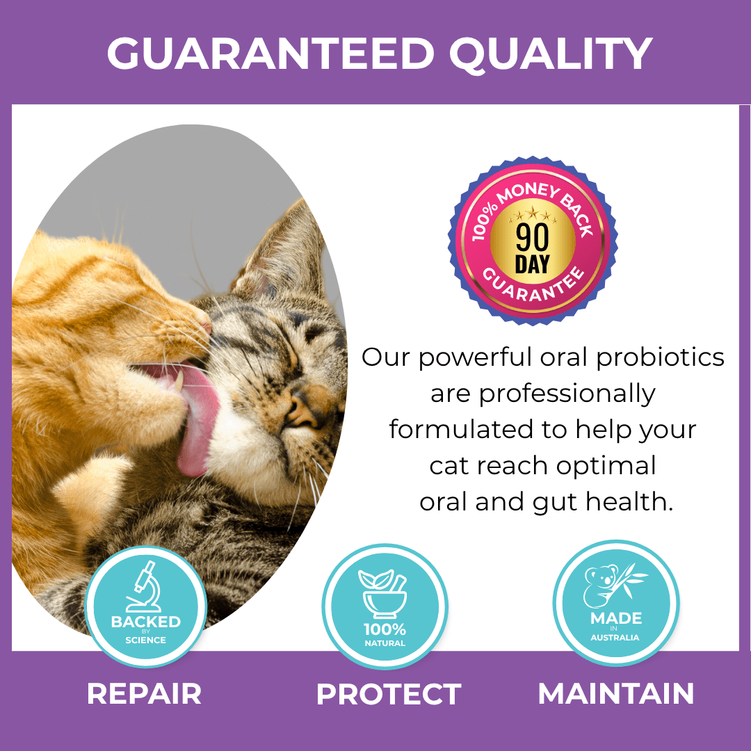 Premium Dental Probiotics for Cats - Purrlys®