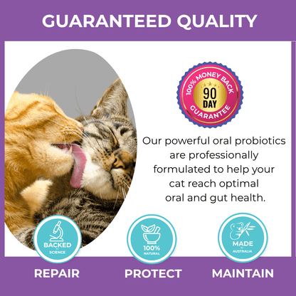 Premium Dental Probiotics for Cats - Purrlys®