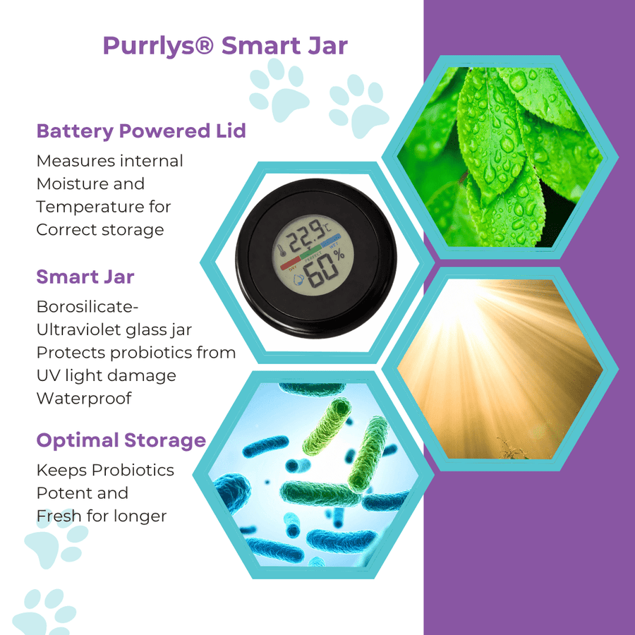 Promotional graphic for the Purrlys Smart Jar, featuring a central round digital moisture/temperature display inside a hexagonal frame, surrounded by three benefit callouts: Battery Powered Lid, Smart Jar, and Optimal Storage. The right side includes three inset photos of green leafy vegetables, a bright sunburst, and blue bacteria, all on a white and purple background.